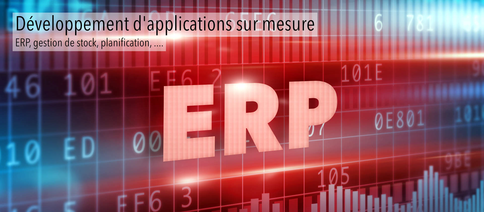 D�veloppement de logiciels de gestion sur mesure � Li�ge et partout en Wallonie